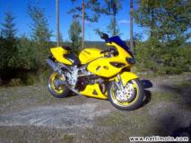 Suzuki TL 1000 S -jytinää...