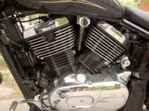 Kawasaki VN 800 - Easy rider