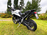 Triumph Tiger 900 Rally Pro – Piristysruiske Tiikerille
