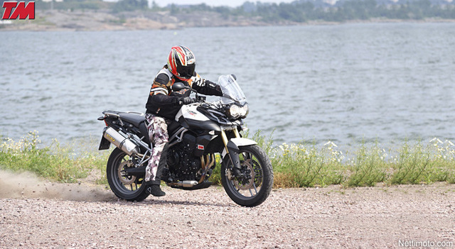 Triumph Tiger 800: Tiikerinpentu